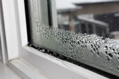 Condensation on window for mould story