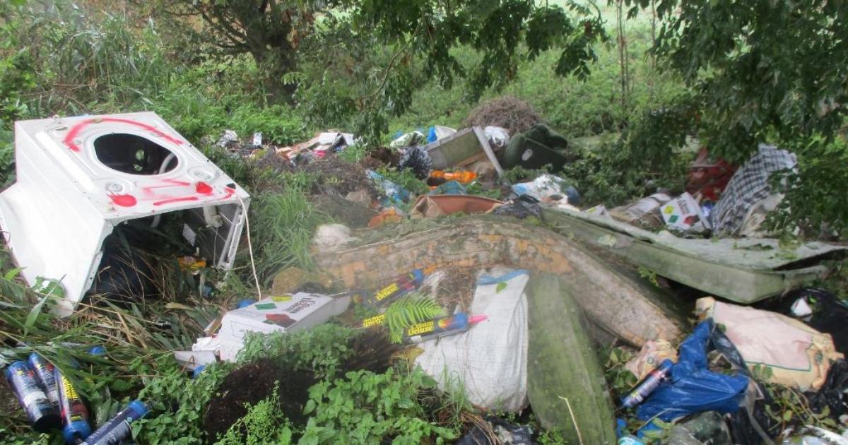 Two bin lorries worth of waste cleared from a layby and embankment Fenland District Council